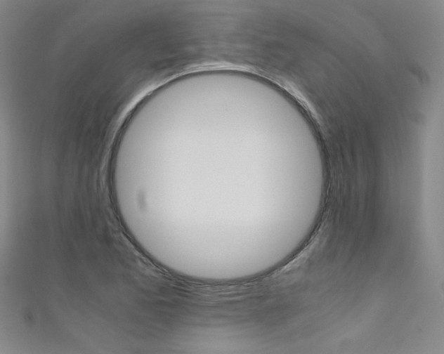 X0000111491173200907141057