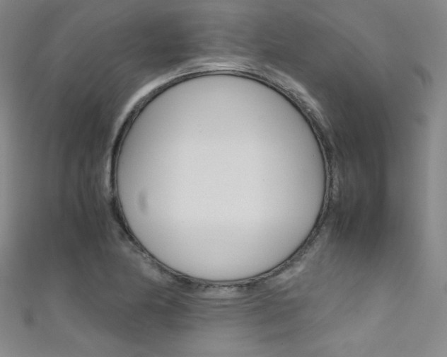 X0000111491174200907141057