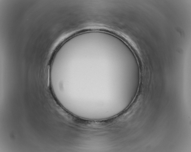 X0000111491175200907141057