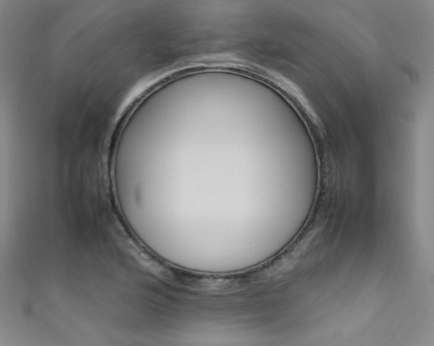 X0000111491176200907141057