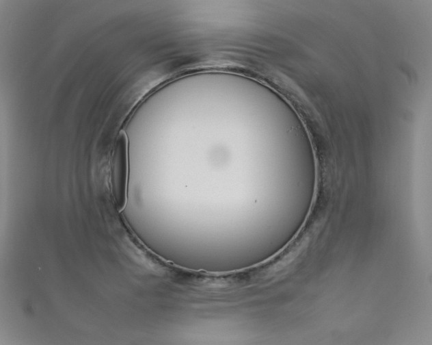 X0000111491177200907141057