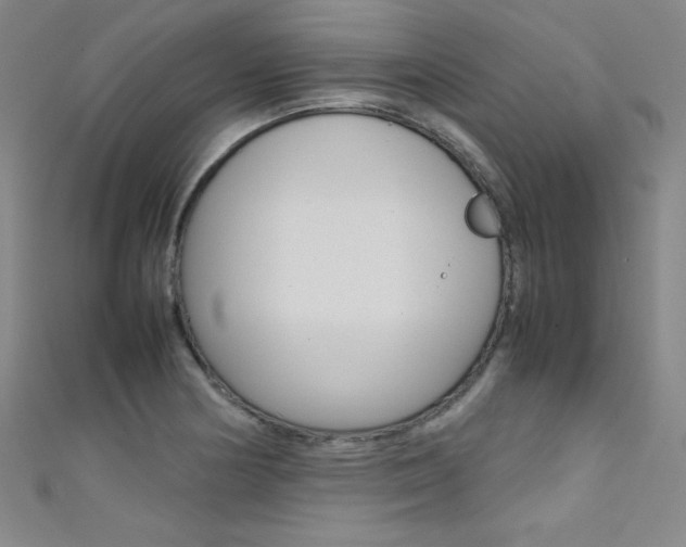 X0000111491178200907141057