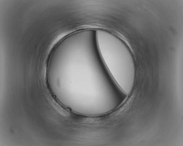X0000111491179200907141057