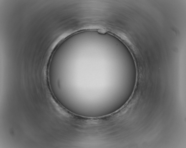 X0000111491181200907141057