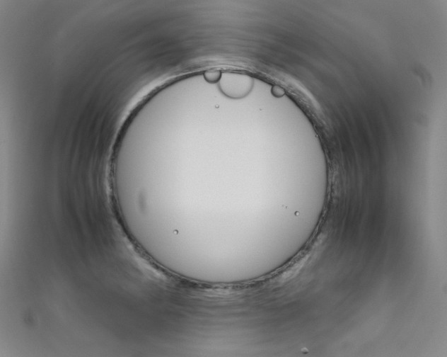 X0000111491182200907141057