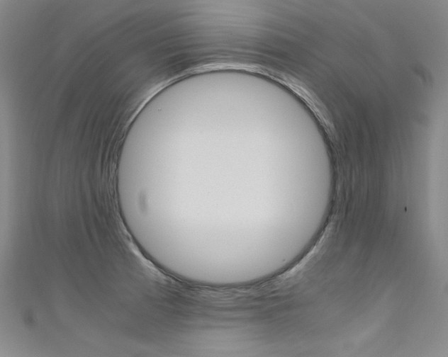 X0000111491185200907141057