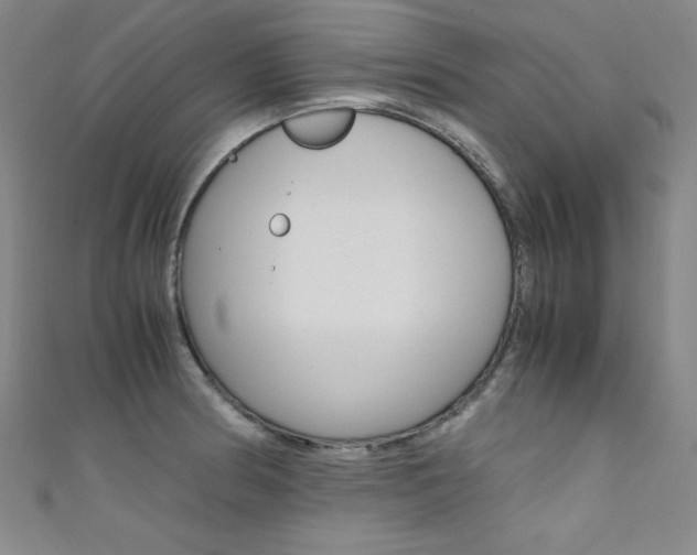 X0000111491186200907141057