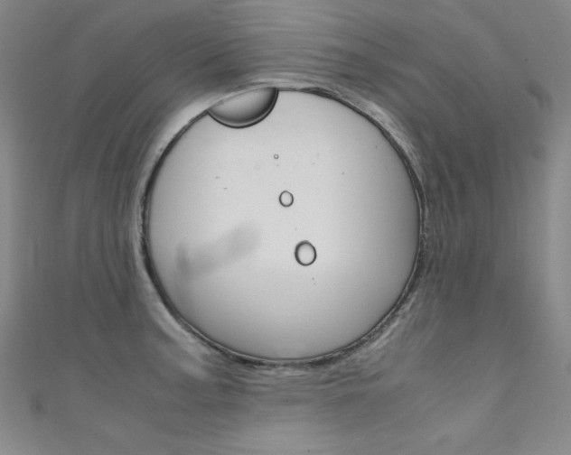 X0000111491187200907141057
