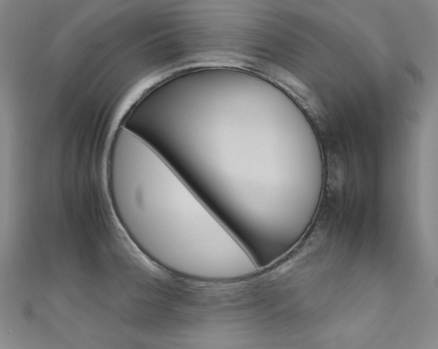 X0000111491188200907141057