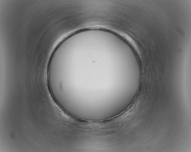 X0000111491191200907141057