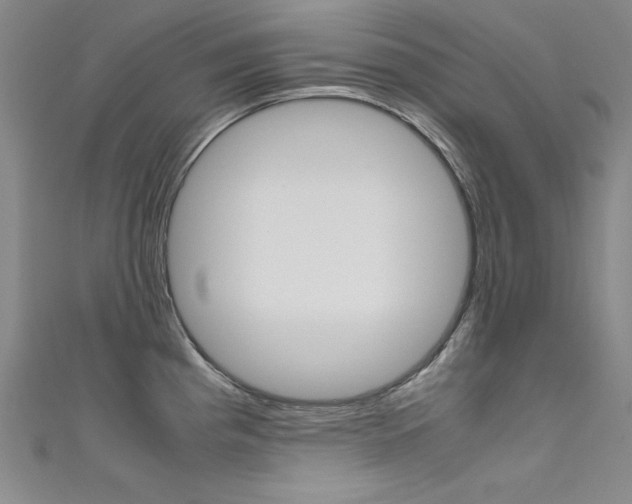 X0000111491193200907141057