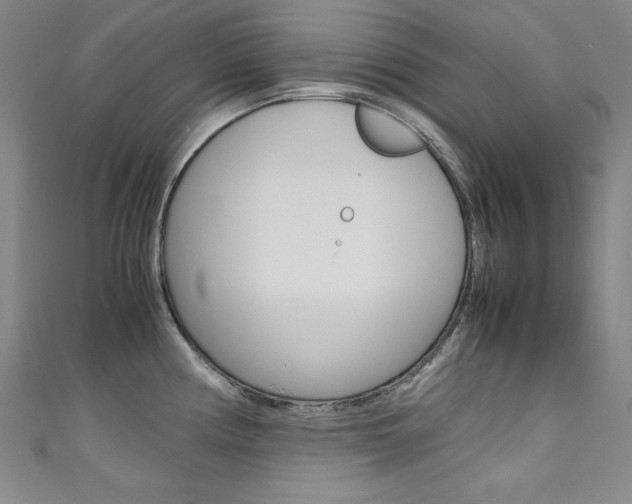X0000111491194200907141057