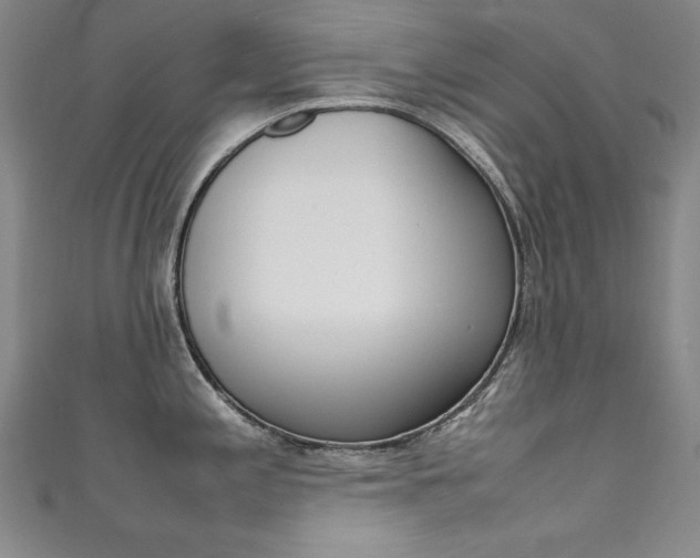 X0000111491197200907141057