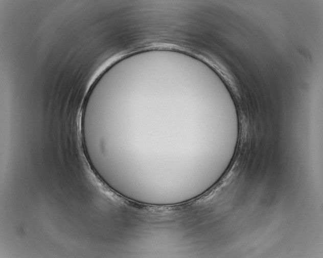X0000111491198200907141057
