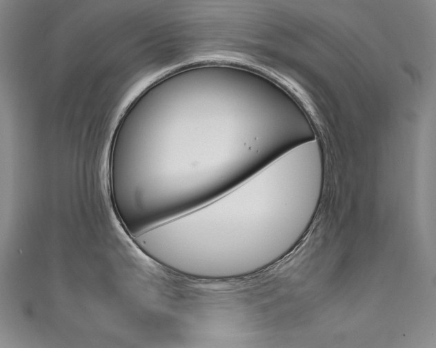 X0000111491199200907141057