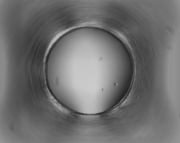 X0000111491200200907141057