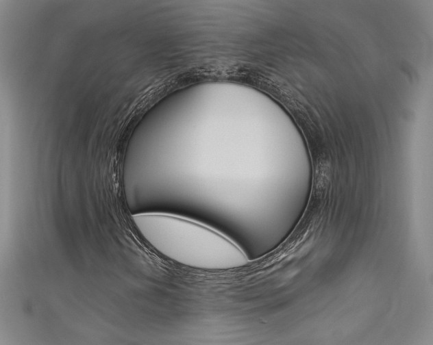 X0000111491202200907141056