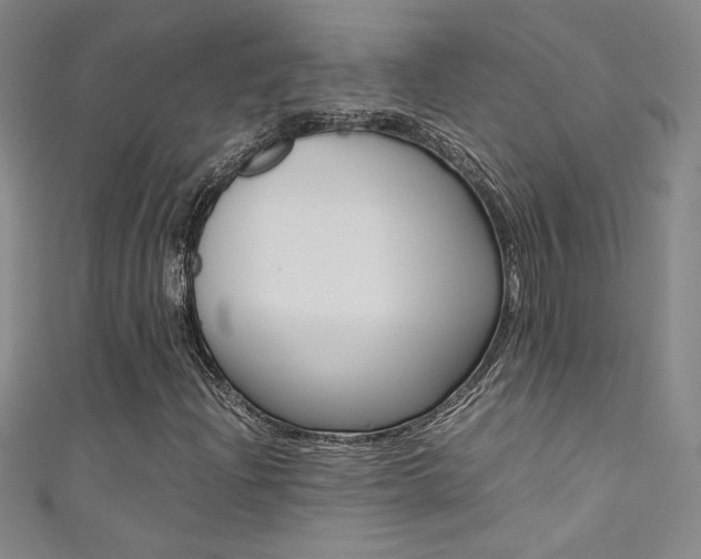 X0000111491204200907141056