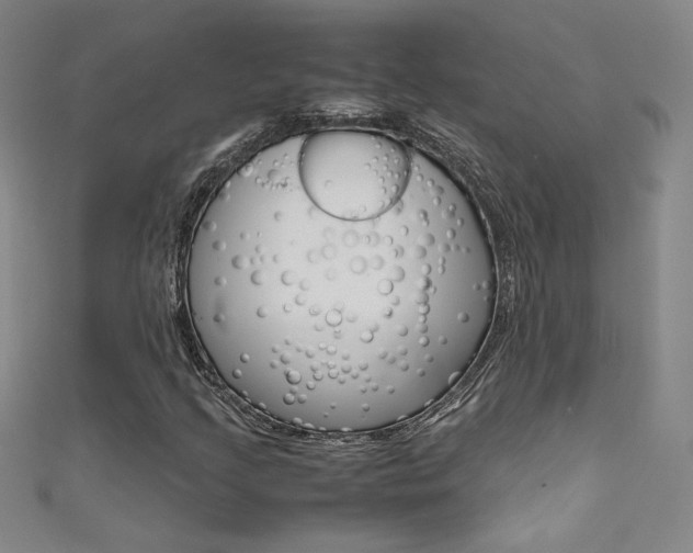 X0000111491205200907141056