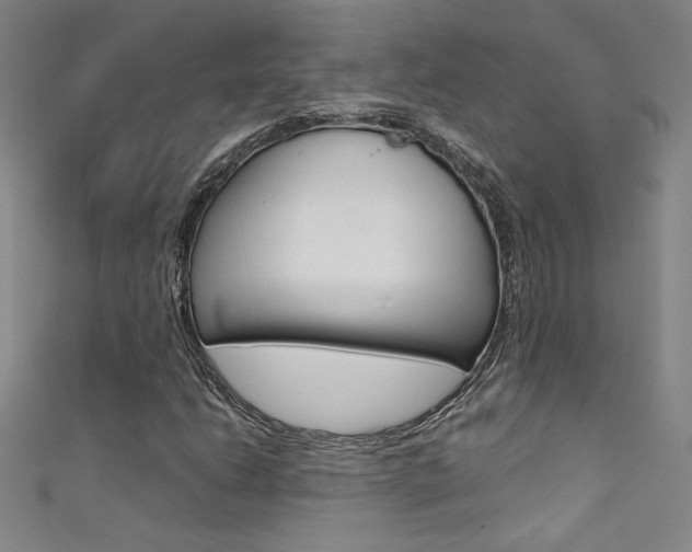 X0000111491206200907141056