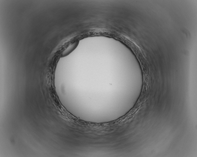 X0000111491207200907141056