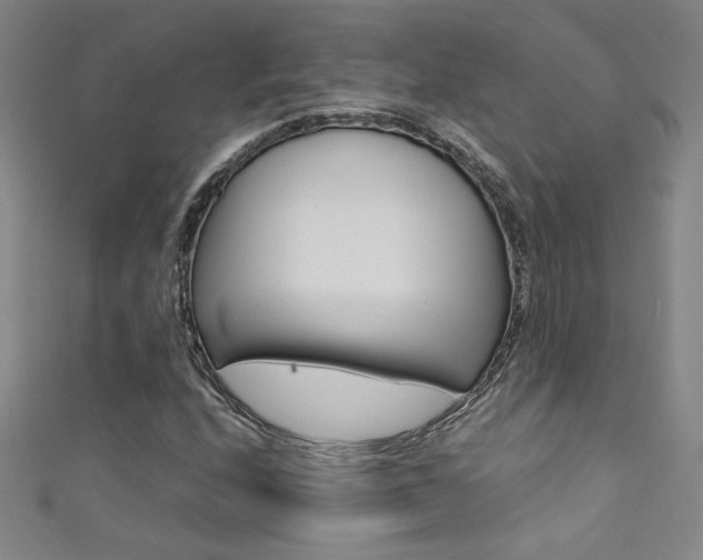 X0000111491208200907141056