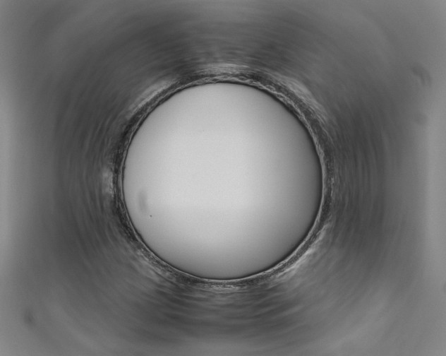 X0000111491209200907141056