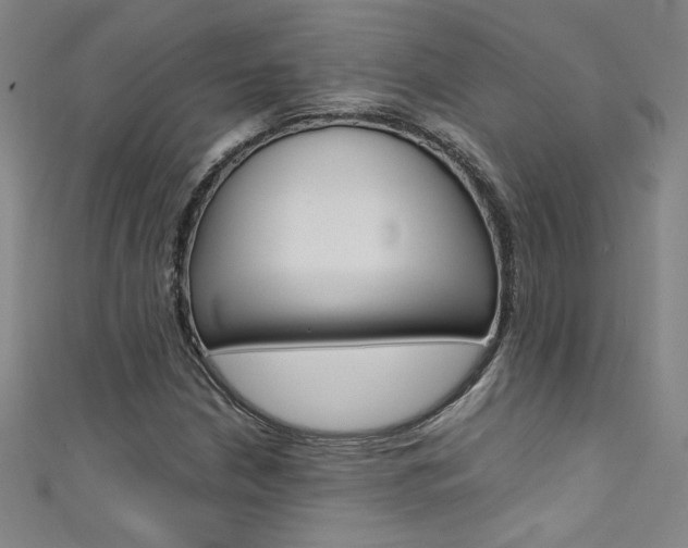 X0000111491210200907141056