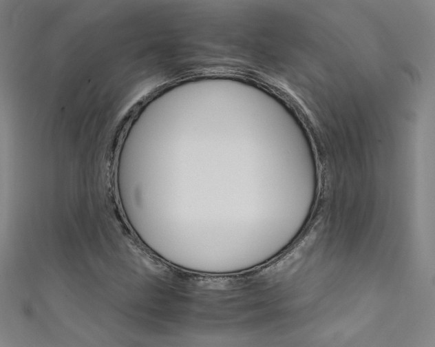 X0000111491211200907141056