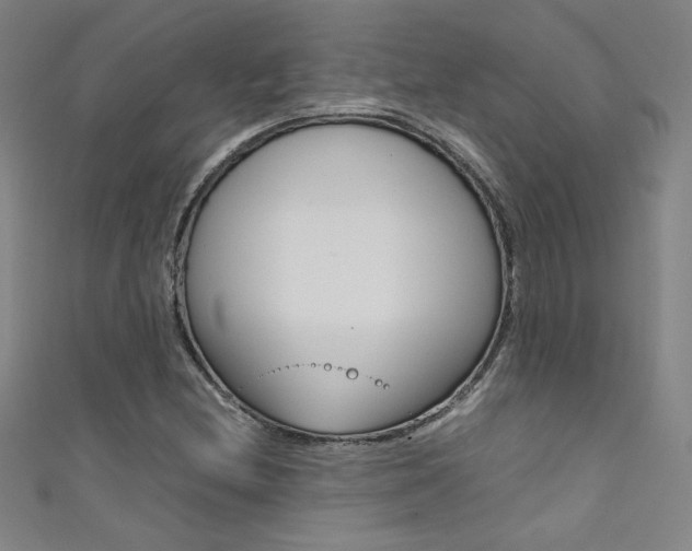 X0000111491212200907141056