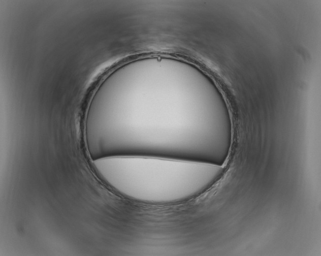 X0000111491214200907141056