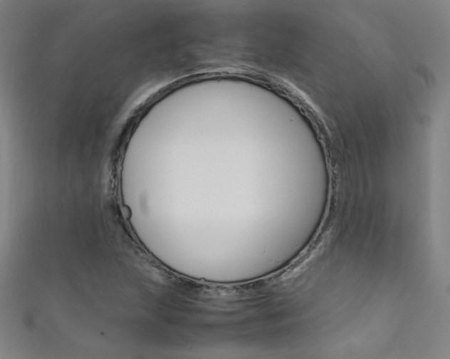 X0000111491215200907141056