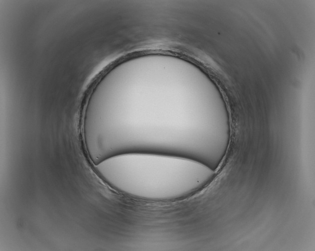 X0000111491216200907141056
