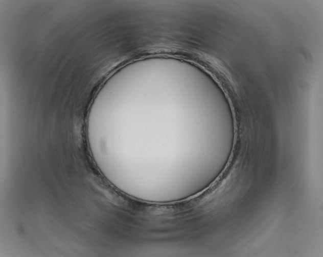 X0000111491217200907141056