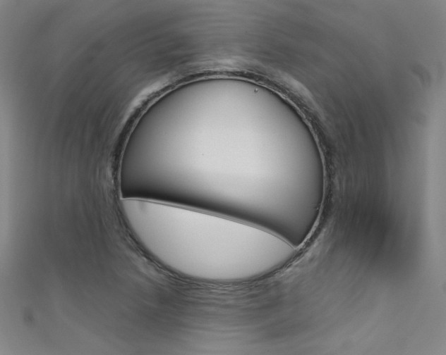X0000111491218200907141056