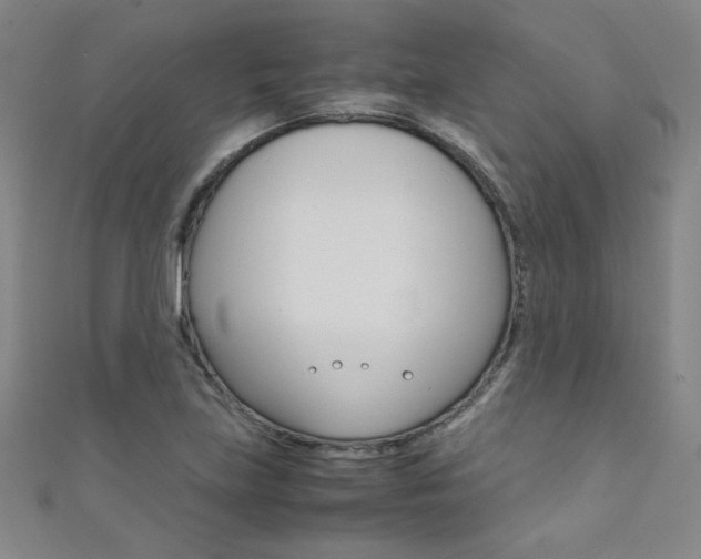 X0000111491219200907141056