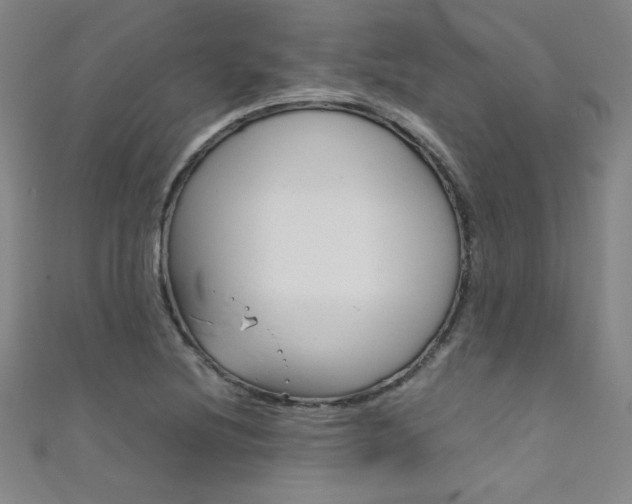 X0000111491220200907141056