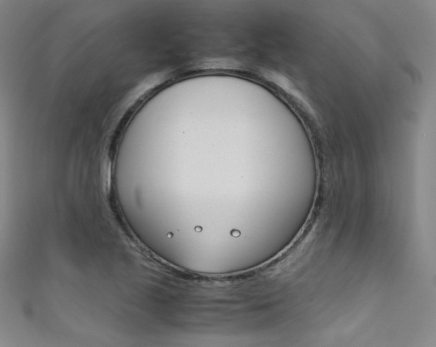 X0000111491221200907141056