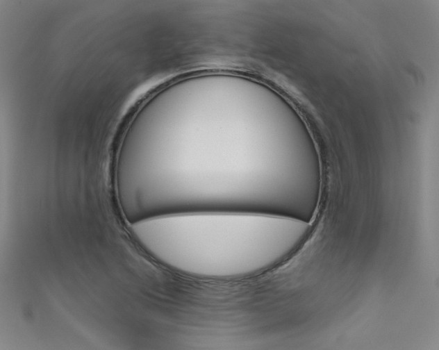 X0000111491222200907141056