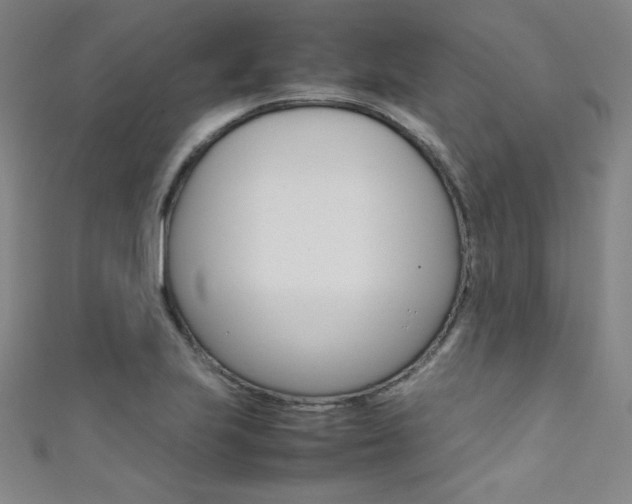 X0000111491223200907141056