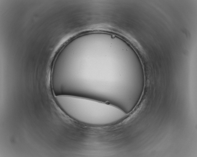 X0000111491224200907141056