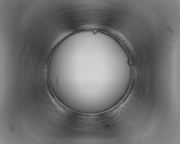X0000111491225200907141056