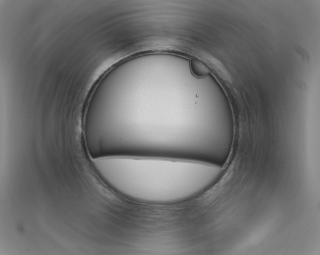 X0000111491226200907141056