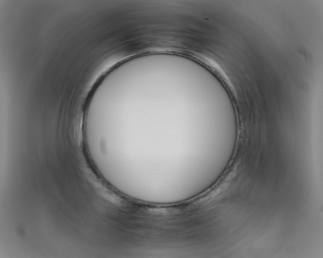 X0000111491227200907141056