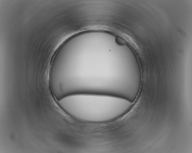 X0000111491228200907141056