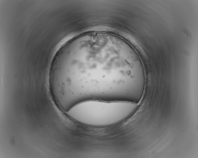 X0000111491229200907141056