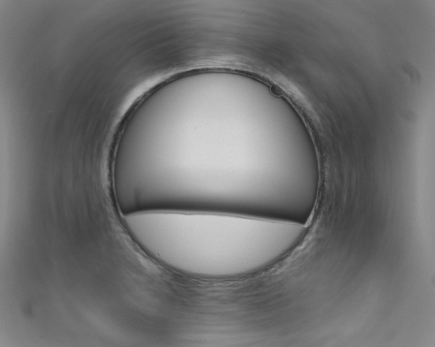 X0000111491230200907141056