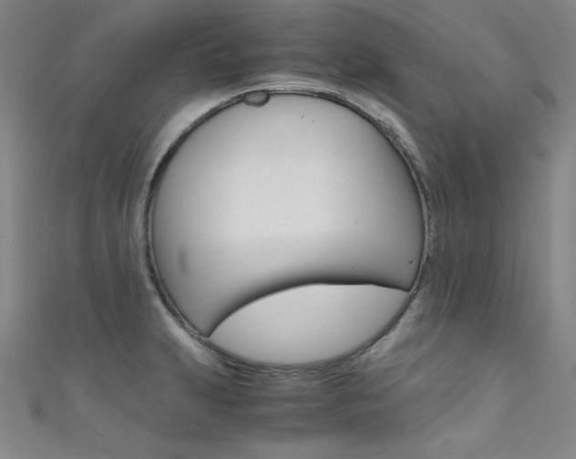 X0000111491231200907141056
