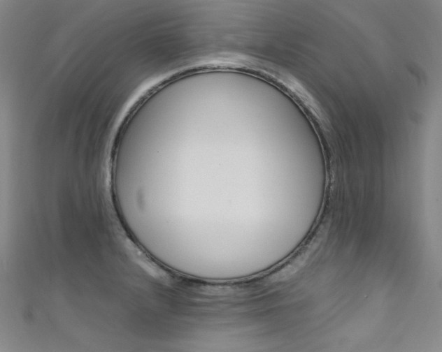 X0000111491232200907141056