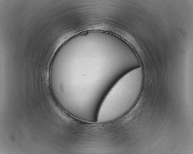 X0000111491234200907141056
